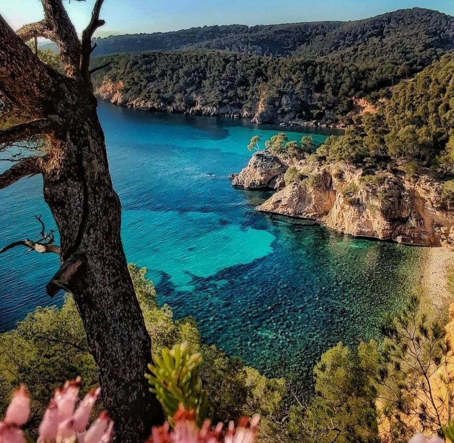 Logement Vue Mer Splendide - Situe A 50 Metres Du Bord De Mer Et 2 Minutes Des Plages - Bandolina Bagian luar foto