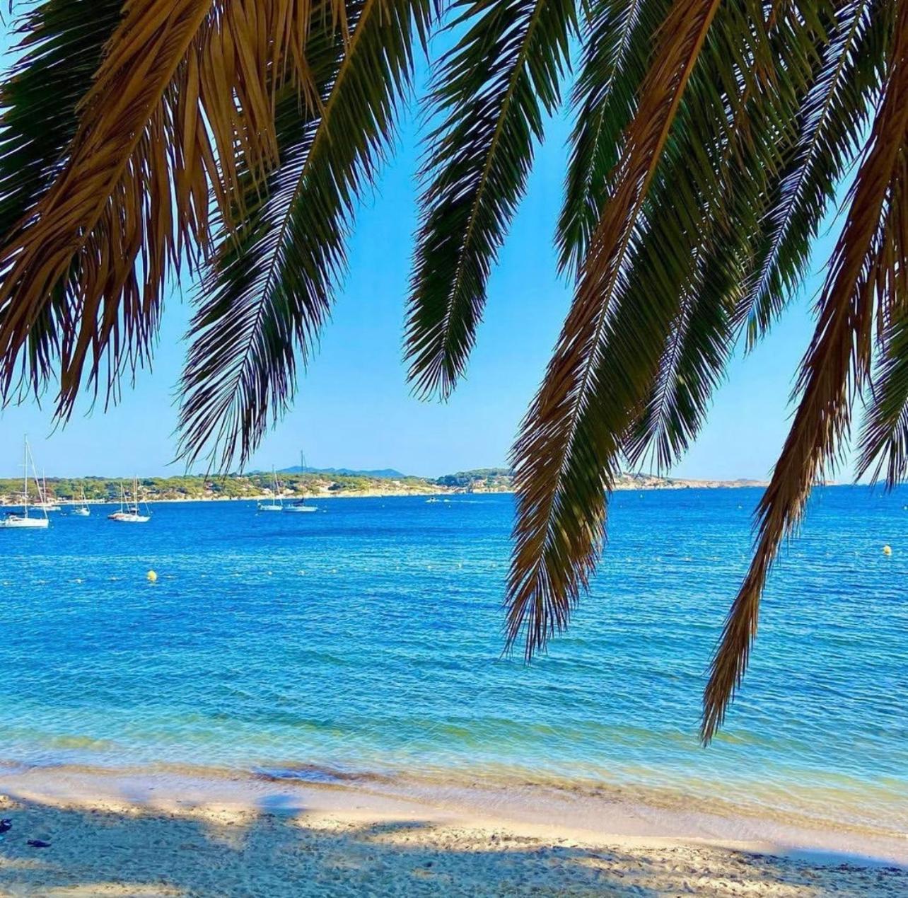 Logement Vue Mer Splendide - Situe A 50 Metres Du Bord De Mer Et 2 Minutes Des Plages - Bandolina Bagian luar foto